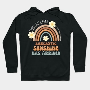 Your Little Ray Of Sarcastic Sunshine Has Arrived Hoodie